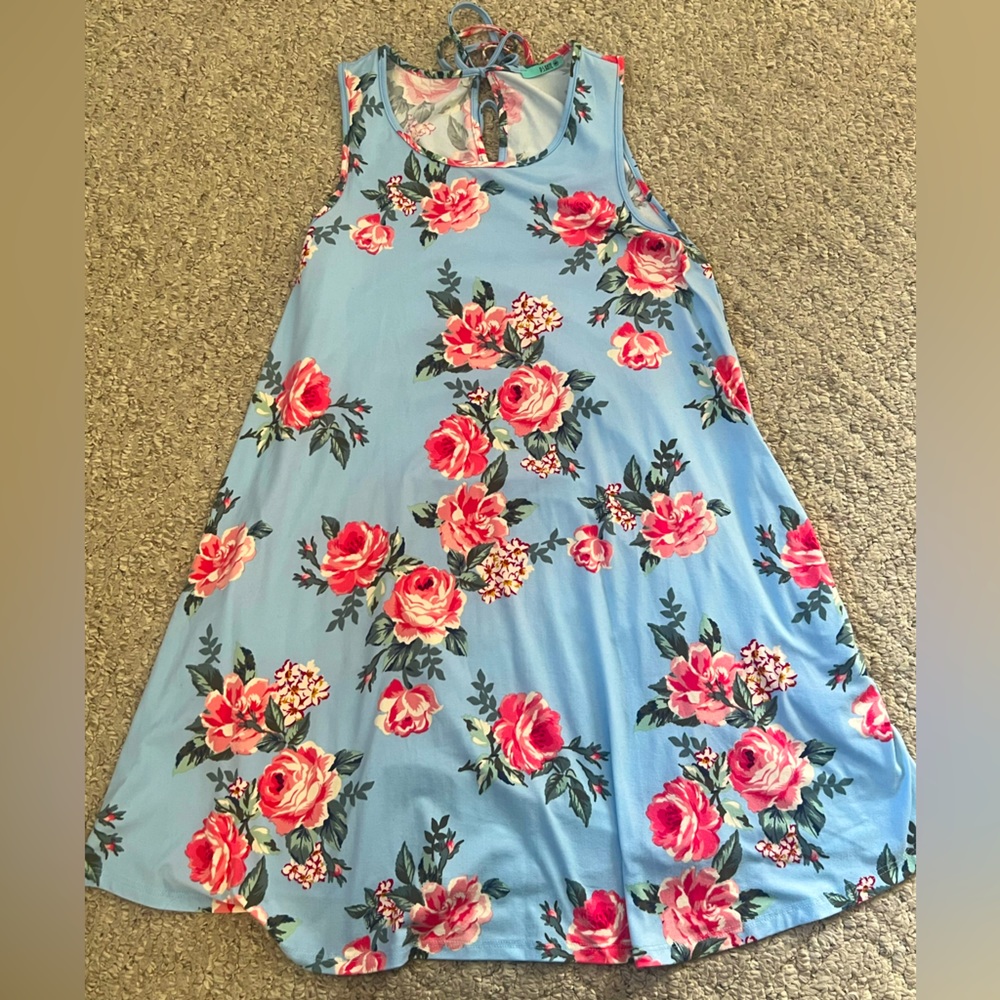 Pink Lily Light Blue Floral Dress Size Small